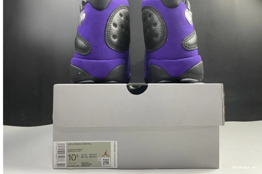Air Jordan Retro DJ5982-015 Court Purple DJ5982-015 13  0630